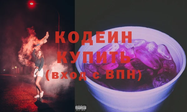 твердый Инсар