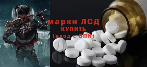 твердый Инсар