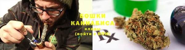 твердый Инсар