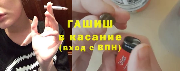 твердый Инсар