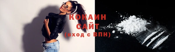 стафф Иннополис
