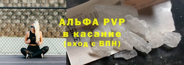 стафф Иннополис