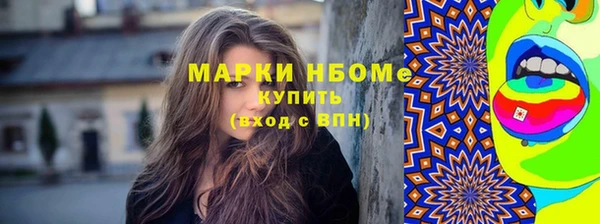 твердый Инсар