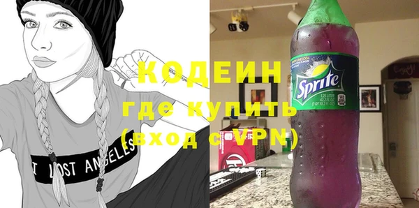 твердый Инсар