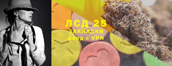 твердый Инсар